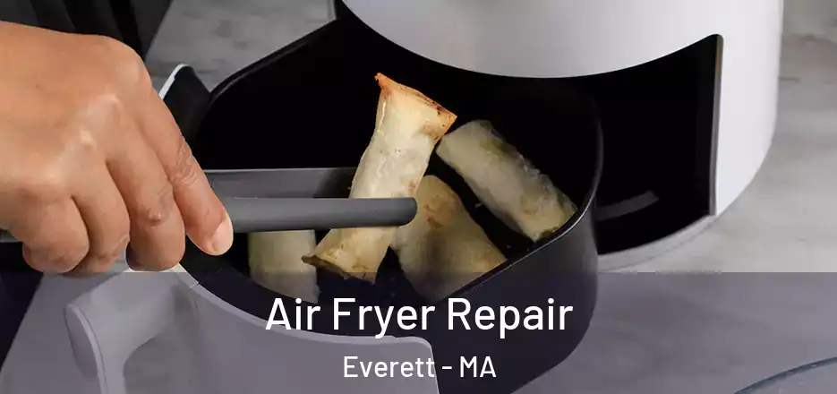 Air Fryer Repair Everett - MA