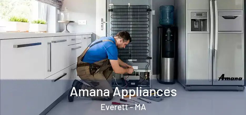  Amana Appliances Everett - MA