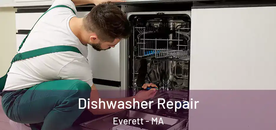  Dishwasher Repair Everett - MA