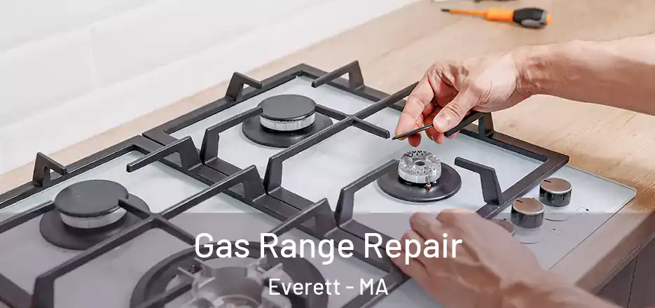  Gas Range Repair Everett - MA