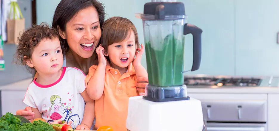 Juicer and Mixer Blender Repair in Everett 