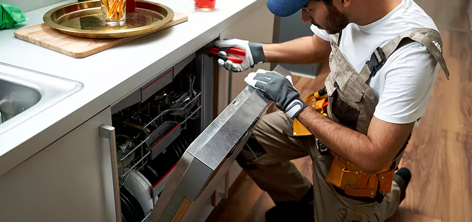 Same Day Dishwasher Not Draining Repair in Everett