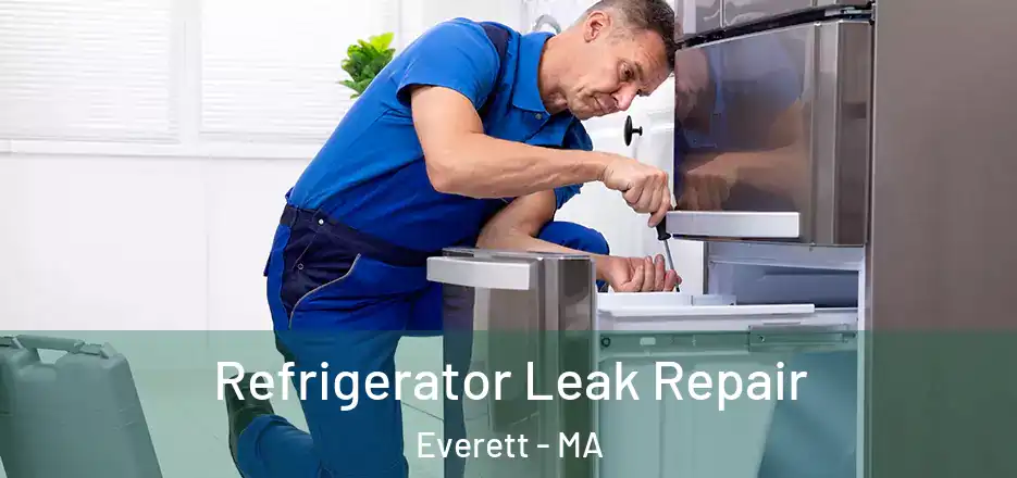  Refrigerator Leak Repair Everett - MA