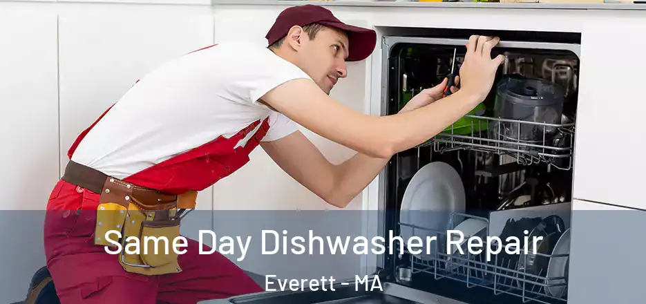  Same Day Dishwasher Repair Everett - MA