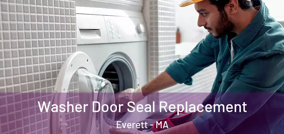 Washer Door Seal Replacement Everett - MA